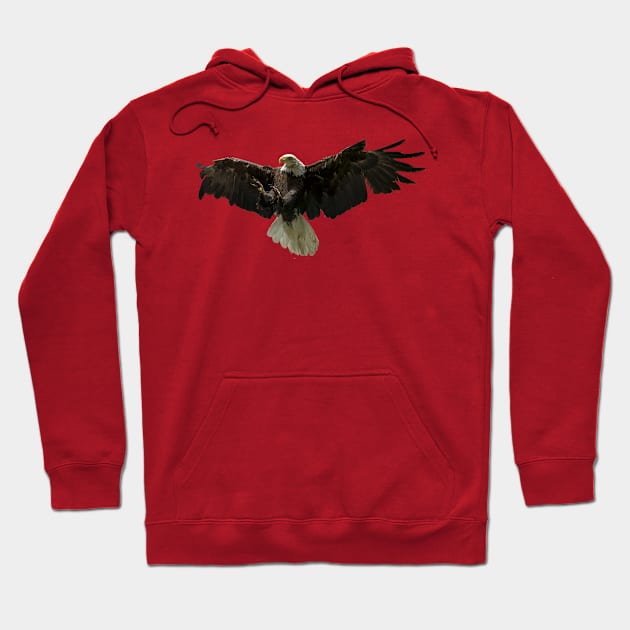 Majestic Bald Eagle Hoodie by StevenElliot